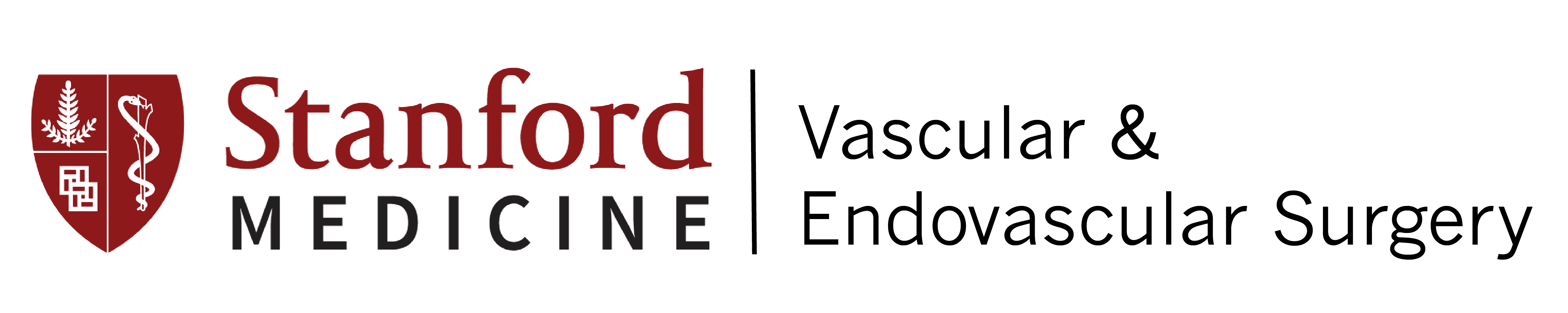 Stanford-Vascular-Surgery-simforhealth